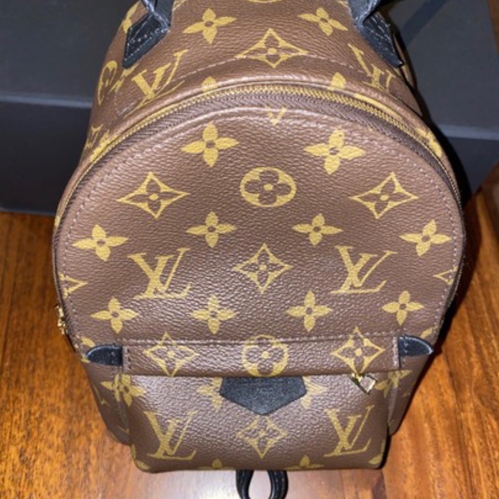 Louis Vuitton Palm Springs mini backpack - Picture 2 of 16